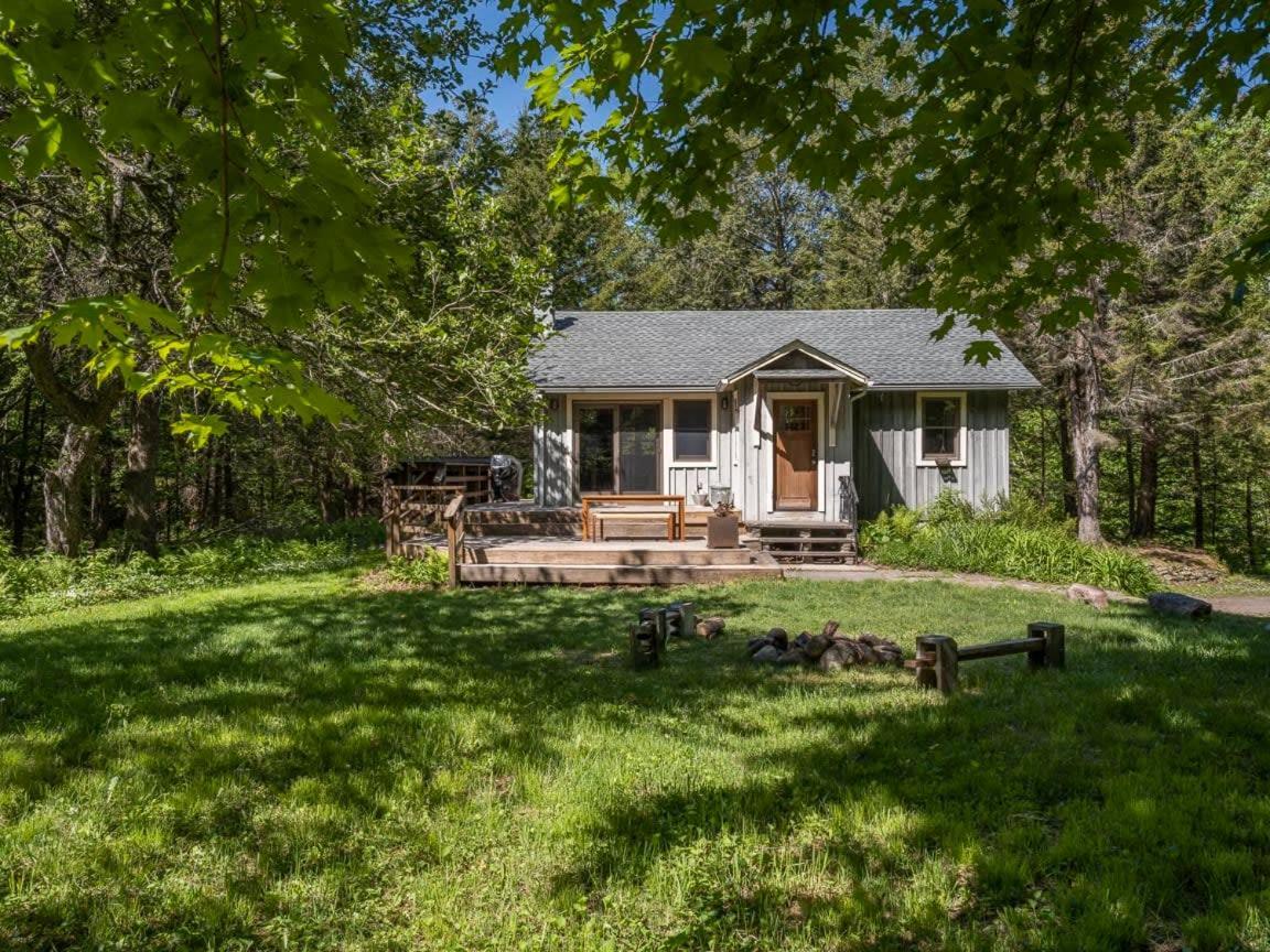 Stony Clove By Summer - Artisan Cottage With Hot Tub Lanesville Екстер'єр фото